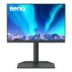 SW242Q 60.5CM 23.8IN IPS
