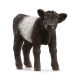 Schleich Farm World Galloway Kalb 13969