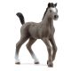 Schleich Horse Club 13957 Cheval de Selle Francais Fohlen