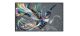 PHILIPS Q-Line 65BDL3511Q 18/7/UHD/400cd (Speditionsversand)