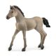 Schleich Horse Club 13949 Criollo Definitivo Fohlen