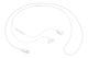 Samsung Earphones USB-C EO-IC100 in-ear white