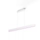 Philips Hue White & Color Ambiance Ensis Pendelleuchte Weiß 6000lm