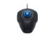 Kensington Orbit Trackball