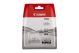 Canon PGI-520BK schwarz Twin Pack