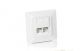 Equip Unterputzdose +Frontplatte 2xRJ45 Cat5e 45° RAL 1013