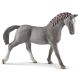 Schleich Horse Club 13888 Trakehner Stute